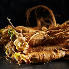 Panax Ginseng Root Extract