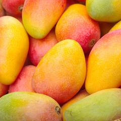 Mangifera Indica (Mango) Seed Butter