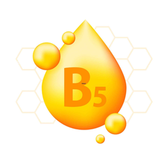Panthenol (Pro-Vitamin B5)